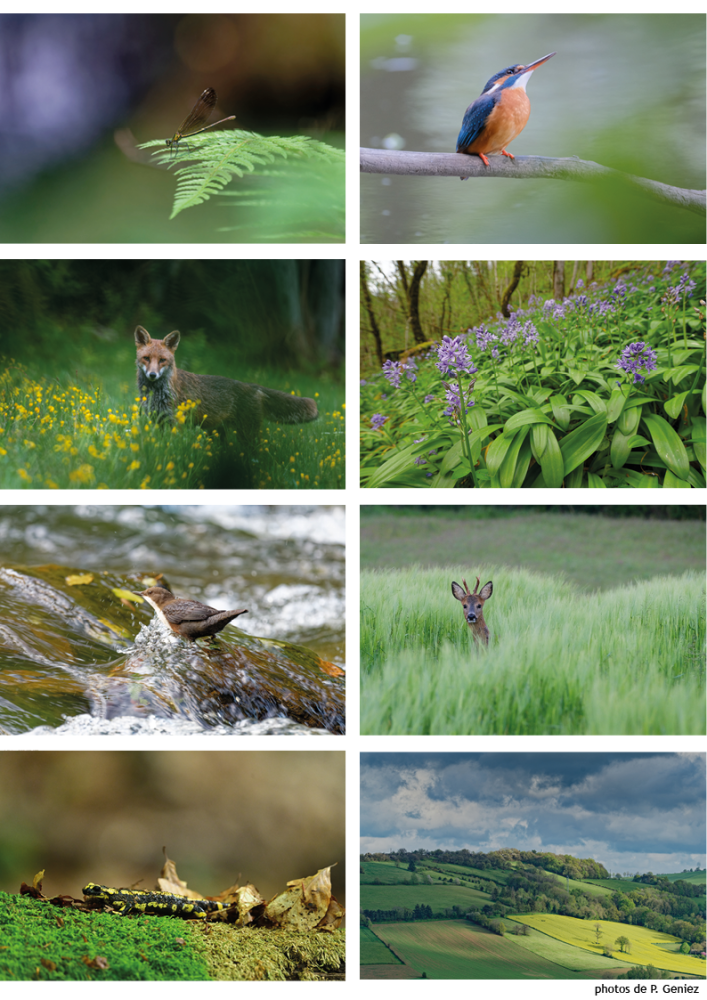 Biodiversité dans la vallée du Viaur