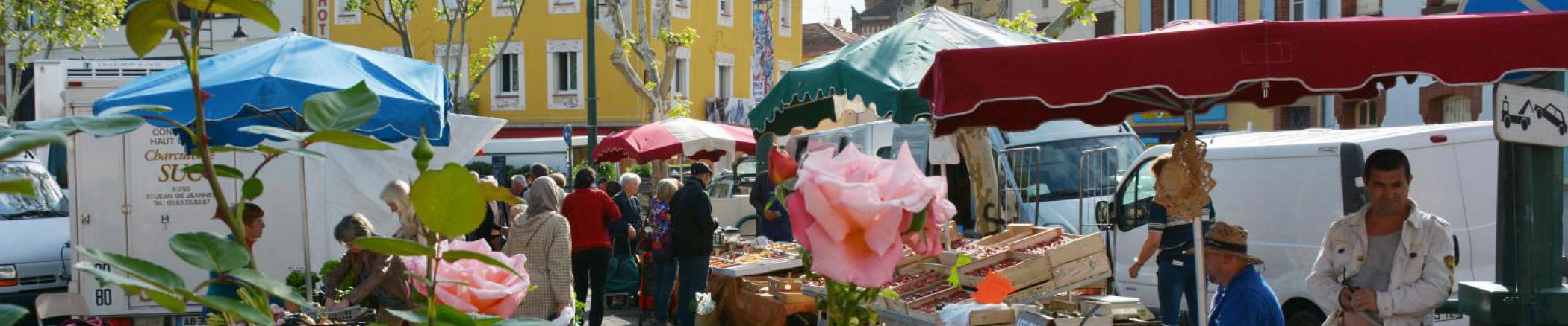 L'habitat dans le Carmausin Ségala