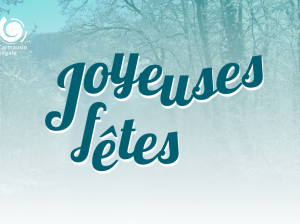 Joyeuses fêtes en Carmausin-Ségala